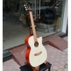 dan-guitar-acoustic-vinaguitar-vg-a00-gia-re