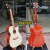 dan-guitar-acoustic-vinaguitar-vg-a00-gia-re