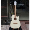 dan-guitar-acoustic-vinaguitar-vg-a00-gia-re