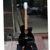 dan-guitar-acoustic-vinaguitar-vg-a00-gia-re