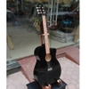 dan-guitar-acoustic-vinaguitar-vg-a00-gia-re