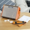 amply-aroma-ag15-acoustic-ampli-guitar-acoustic-nho-gon-tien-loi