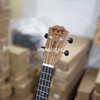 dan-ukulele-concert-bws-tho-rabbit-full-go-mahogany-vinaguitar-phan-phoi-chinh-h
