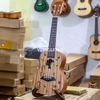dan-ukulele-concert-bws-kingdom-full-go-mahogany-vinaguitar-phan-phoi-chinh-hang