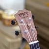 dan-ukulele-concert-bws-kingdom-full-go-mahogany-vinaguitar-phan-phoi-chinh-hang