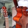 dan-guitar-classic-ba-don-c120