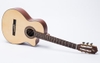 dan-guitar-classic-ba-don-c350j-body-chinh-hang