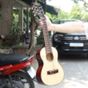 dan-guitar-classic-vinaguitar-vg-c50-mini-guitarlele-30-inch-dai-71cm-mat-go-tho