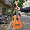 dan-ukulele-concert-tenor-c8-c9-mahogany-cao-cap-kem-full-phu-kien-vinaguitar-ph