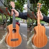 dan-ukulele-concert-tenor-c8-c9-mahogany-cao-cap-kem-full-phu-kien-vinaguitar-ph