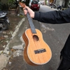 dan-ukulele-concert-tenor-c8-c9-mahogany-cao-cap-kem-full-phu-kien-vinaguitar-ph