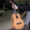 dan-ukulele-concert-tenor-c8-c9-mahogany-cao-cap-kem-full-phu-kien-vinaguitar-ph