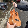 dan-ukulele-concert-tenor-c8-c9-mahogany-cao-cap-kem-full-phu-kien-vinaguitar-ph