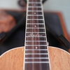 dan-ukulele-concert-andrew-cx83-vinaguitar-phan-phoi-chinh-hang