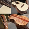 dan-guitar-classic-vinaguitar-vg-cd2-tang-kem-phu-kien-va-bao-hanh-2-nam