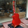 dan-guitar-classic-vinaguitar-vg-cef-go-laminated-gia-tot-danh-cho-nguoi-bat-dau