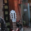 dan-guitar-classic-vg-cem4-solid-top-am-hay-ben-bi-chac-chan-co-ti-chinh-can