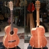 dan-guitar-classic-vg-cfhd-guitar-go-hong-dao-nguyen-tam