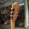 dan-guitar-classic-vg-cfhd-guitar-go-hong-dao-nguyen-tam