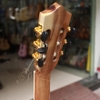 dan-guitar-classic-vg-chd-premium-ban-nang-cap-co-boc-tut-am-thanh-hay-go-thit-1