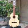 dan-guitar-classsic-vinaguitar-vg-chd6-100-go-thit-kem-full-phu-kien-bao-hanh-2-