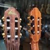 dan-guitar-thung-mong-acoustic-classic-vinaguitar-vg-hdm-kem-phu-kien-va-bao-han