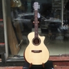 dan-guitar-acoustic-clover-212cx-go-mahogany-am-hay-choi-thoai-mai