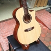 dan-guitar-acoustic-clover-212cx-go-mahogany-am-hay-choi-thoai-mai