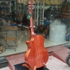 dan-guitar-acoustic-clover-214cx-go-mahogany-am-hay-action-thap-ban-chay-tam-6-7