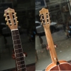 dan-guitar-classic-cmg33-4-phien-ban-3-4-nho-gon-cao-cap