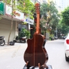dan-guitar-classic-cordoba-orchestra-ce-kem-eq-va-bao-hang