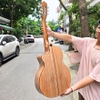dan-guitar-classic-vinaguitar-vg-cspv6-go-soi-phap-bavel-100-go-thit-nguyen-tam