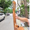 dan-guitar-classic-vinaguitar-vg-cspv6-go-soi-phap-bavel-100-go-thit-nguyen-tam