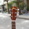 dan-guitar-acoustic-vinaguitar-vg-d3-vintage