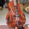 dan-guitar-acoustic-vinaguitar-vg-d3-vintage