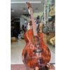 dan-guitar-acoustic-vinaguitar-vg-d3-vintage