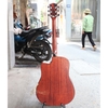 dan-guitar-acoustic-rosen-g15-vinaguitar-phan-phoi-chinh-hang