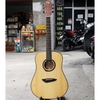 dan-guitar-acoustic-gopher-wood-g-100ns-vinaguitar-phan-phoi-chinh-hang