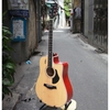 dan-guitar-acoustic-rosen-g13