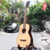 dan-guitar-classic-ba-don-dam120-100-go-thit-co-ti-chinh-can-phien-ban-nang-cap-