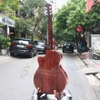 dan-guitar-acoustic-vinaguitar-vg-dedv6-co-bavel-am-thanh-tot