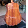 dan-guitar-acoustic-diana-dn729-premium-ban-cao-cap-full-mahogany-41inch-fullsiz