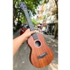 dan-ukulele-tenor-didou-b31-full-mahogany-chat-luong-cao