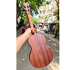 dan-ukulele-tenor-didou-b31-full-mahogany-chat-luong-cao