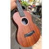 dan-ukulele-tenor-didou-b31-full-mahogany-chat-luong-cao