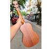 dan-ukulele-concert-diduo-t21-full-mahogany-chinh-hang