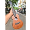 dan-ukulele-concert-diduo-t21-full-mahogany-chinh-hang