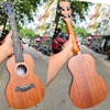 dan-ukulele-concert-diduo-t21-full-mahogany-chinh-hang