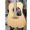 dan-guitar-acoustic-epiphone-dr100-vinaguitar-phan-phoi-chinh-hang