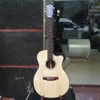 dan-guitar-acoustic-vinaguitar-vg-dv2-go-diep-co-bavel-100-go-thit